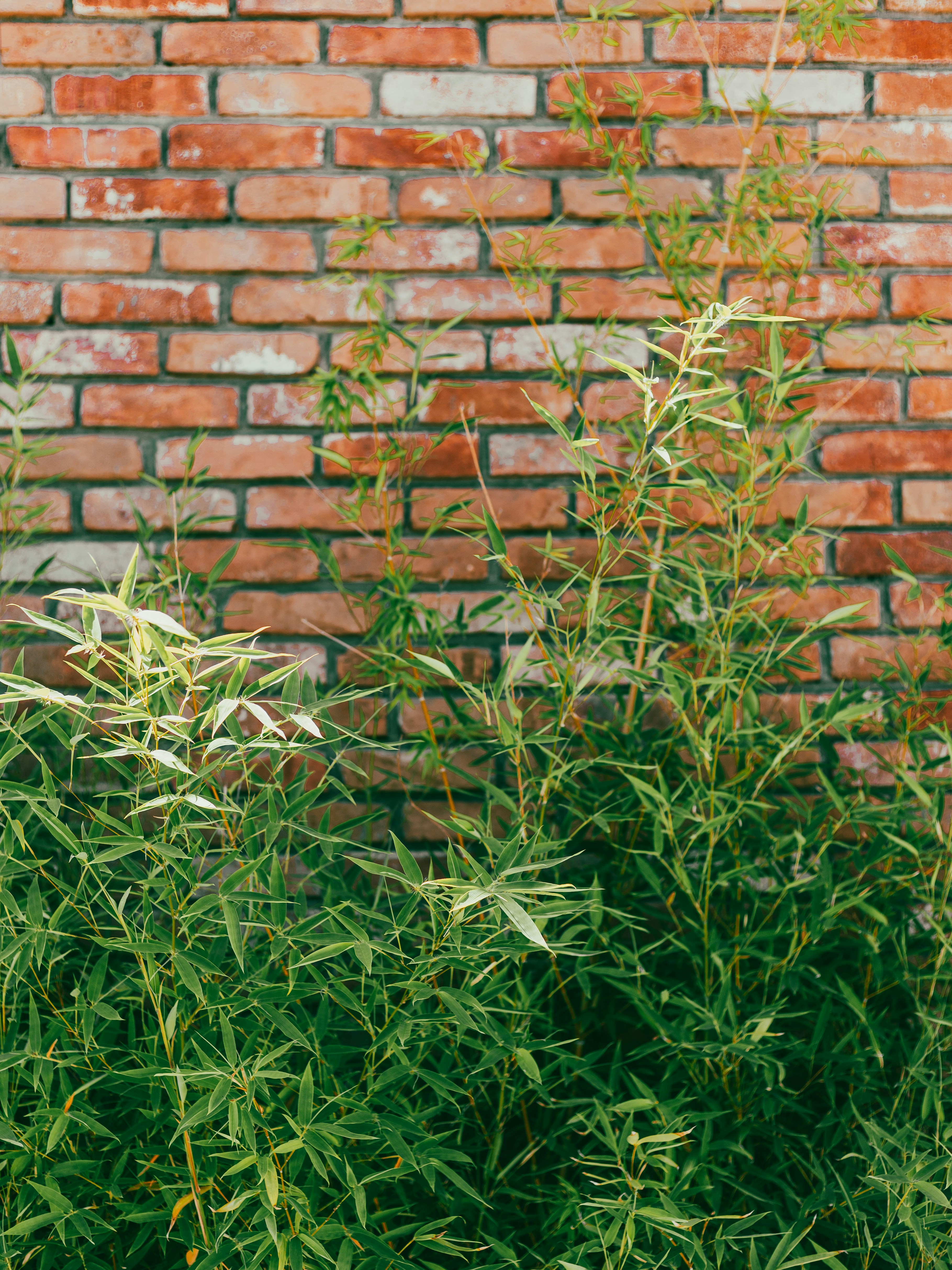 Photo by andreevaleksandar