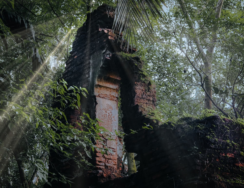 a stone structure in the middle of a forest