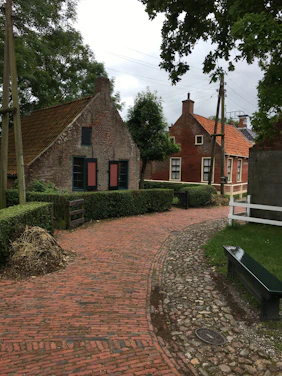 A charming village pathway winding through colorful traditional houses surrounded by lush greenery.