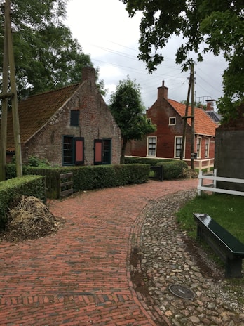 A curved path winding through a village scene formed by paw pads, with welcoming doorways and rooftops visible.