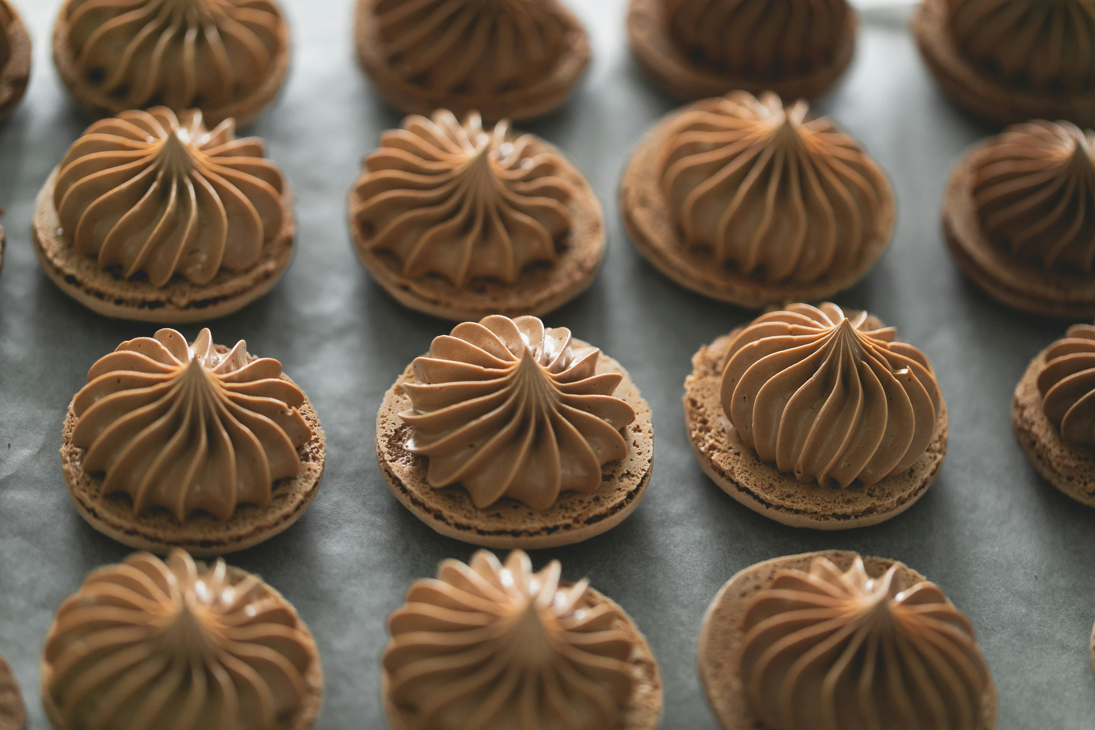 Photo by melanieboers