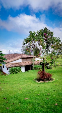 A rural house with a tiled roof is surrounded by lush green grass and various plants. A tree with vibrant red flowers stands prominently in the foreground. The sky above is a bright blue with scattered clouds.