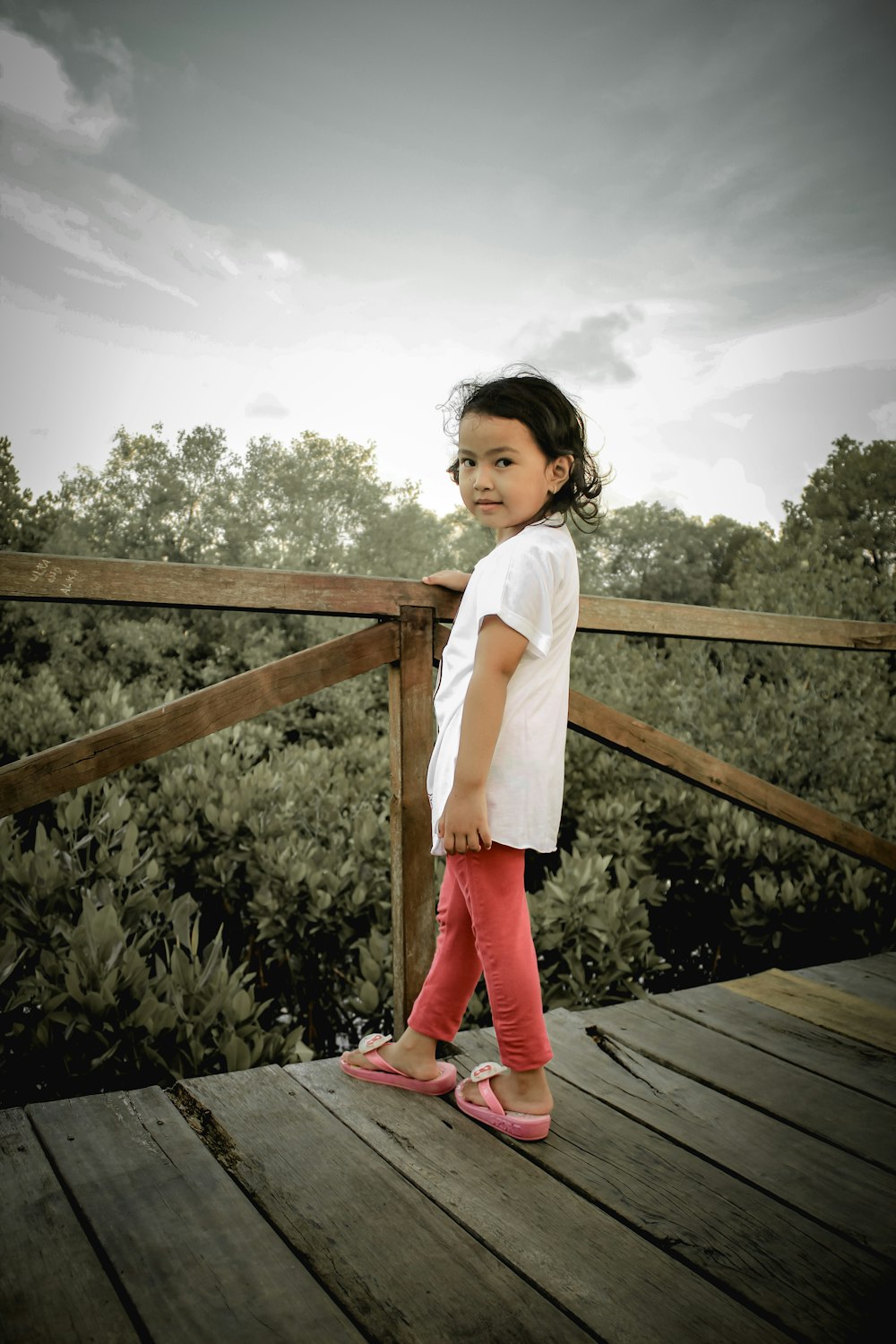 a girl standing on a wooden fence