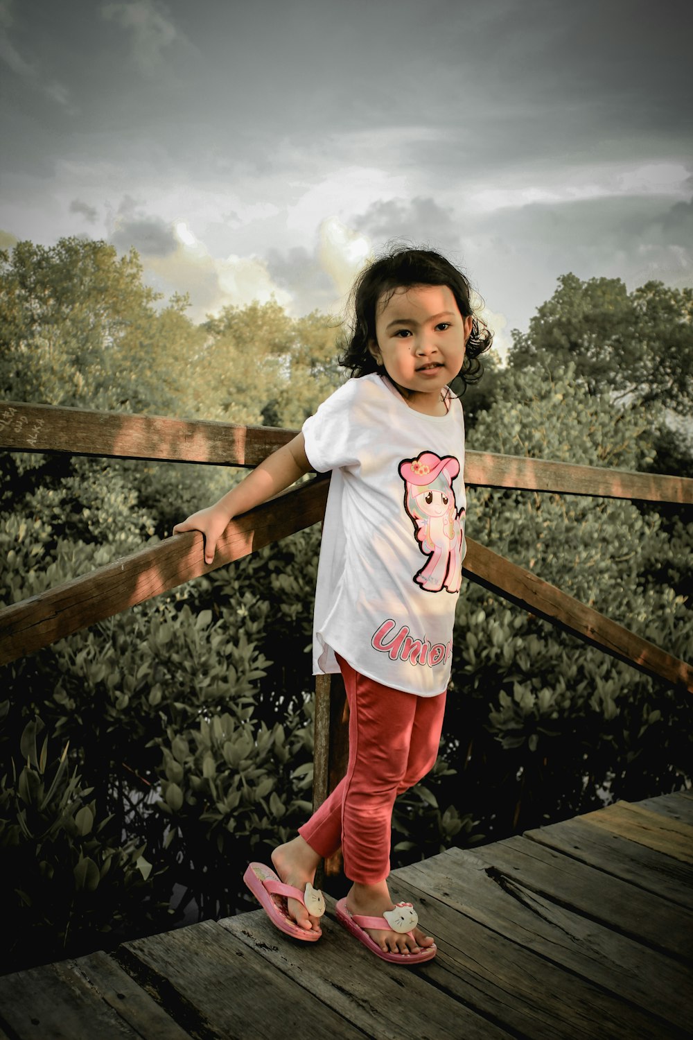 a girl standing on a wooden fence