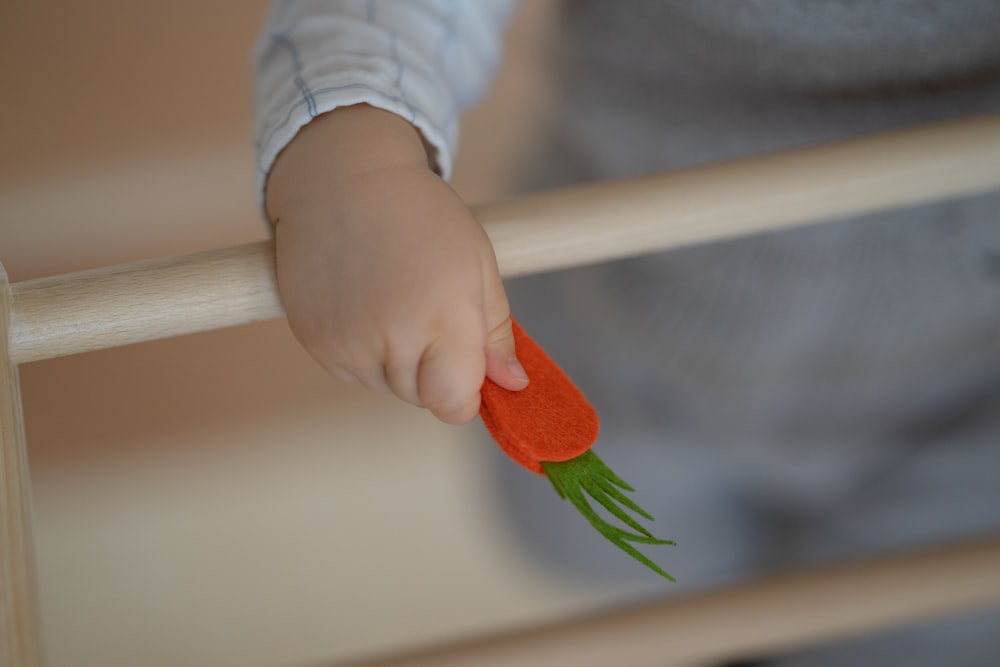 a person holding a carrot