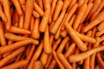 a pile of carrots