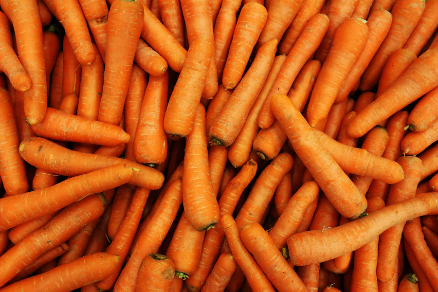 Pile of harvested carrots