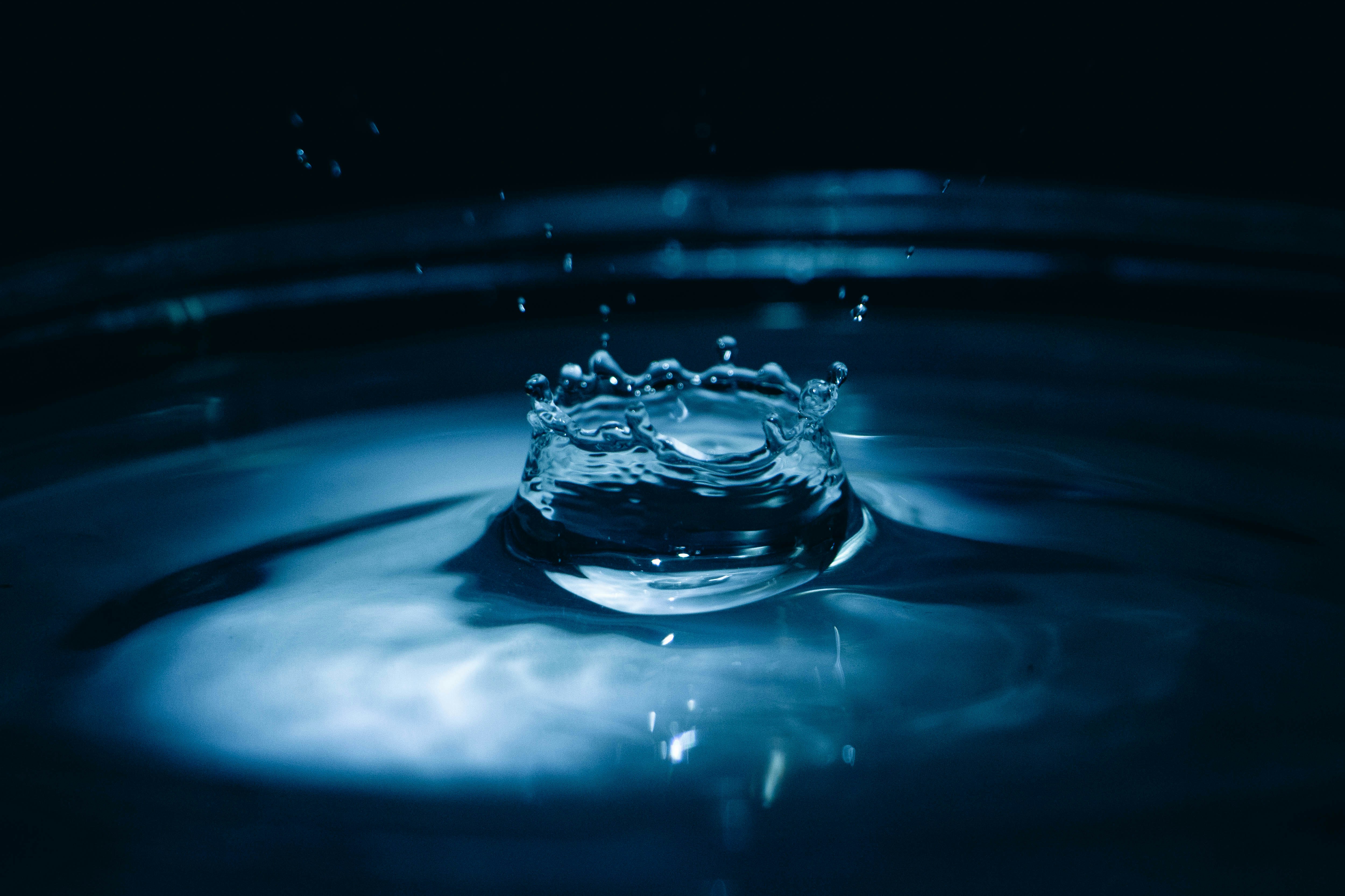 Photo by rishabh_mathew