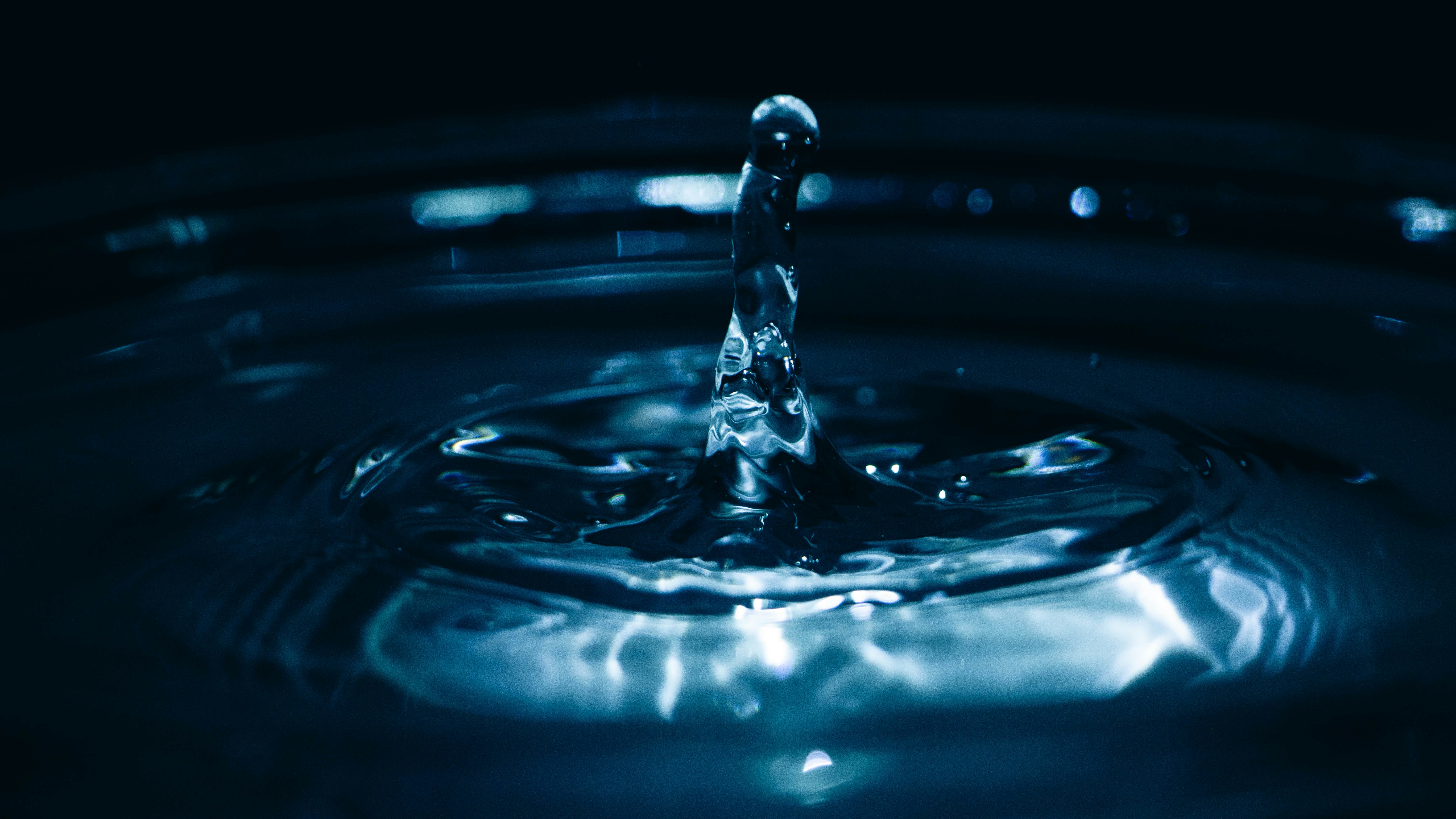 Photo by rishabh_mathew