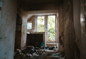 An abandoned, dilapidated room filled with debris and trash on the floor. Walls show signs of decay and neglect, peeling plaster and exposed brickwork visible. A window, partially broken, allows a view of dense green foliage outside, providing a stark contrast to the dark interior.