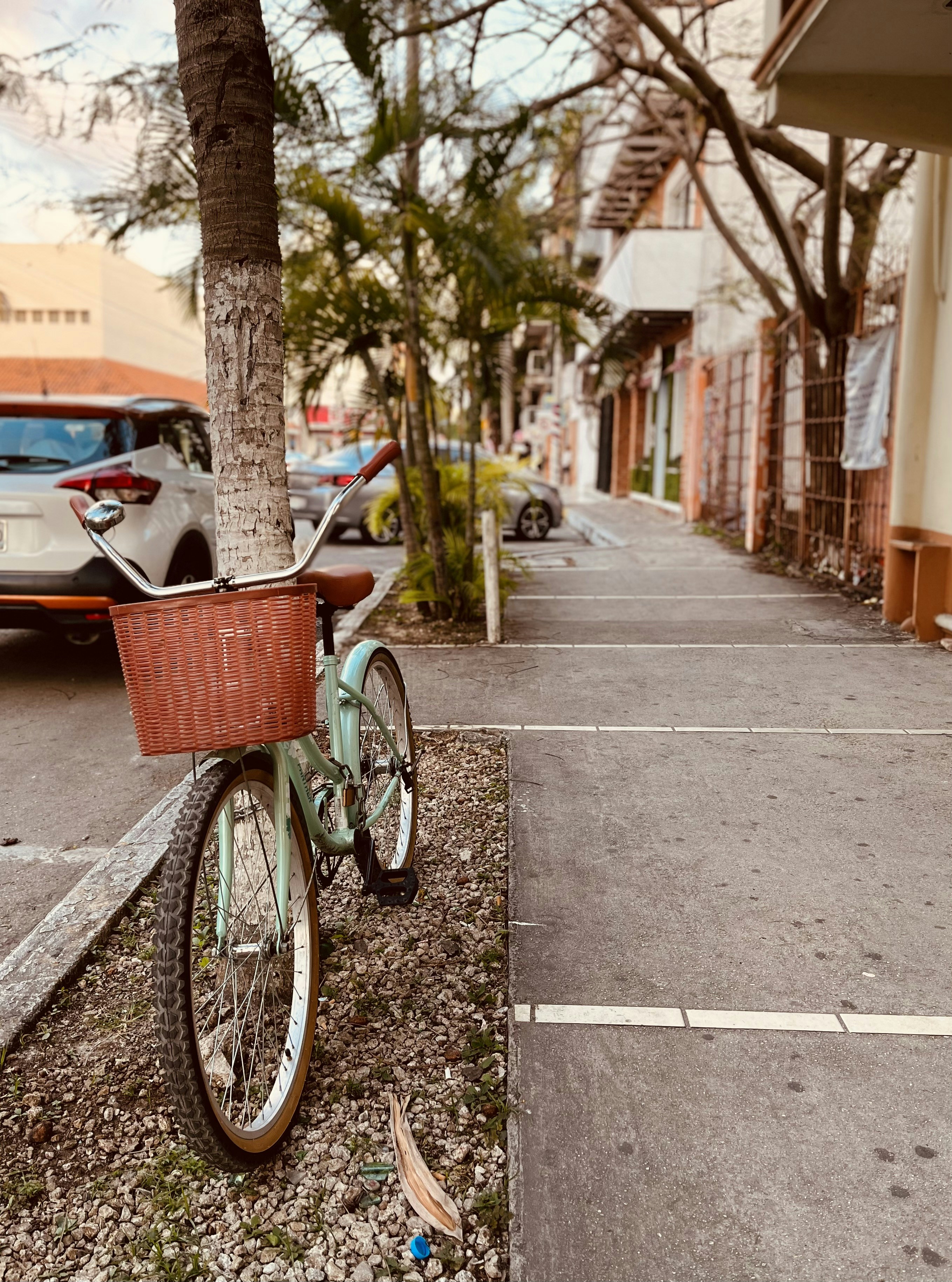 playa del carmen 5th ave