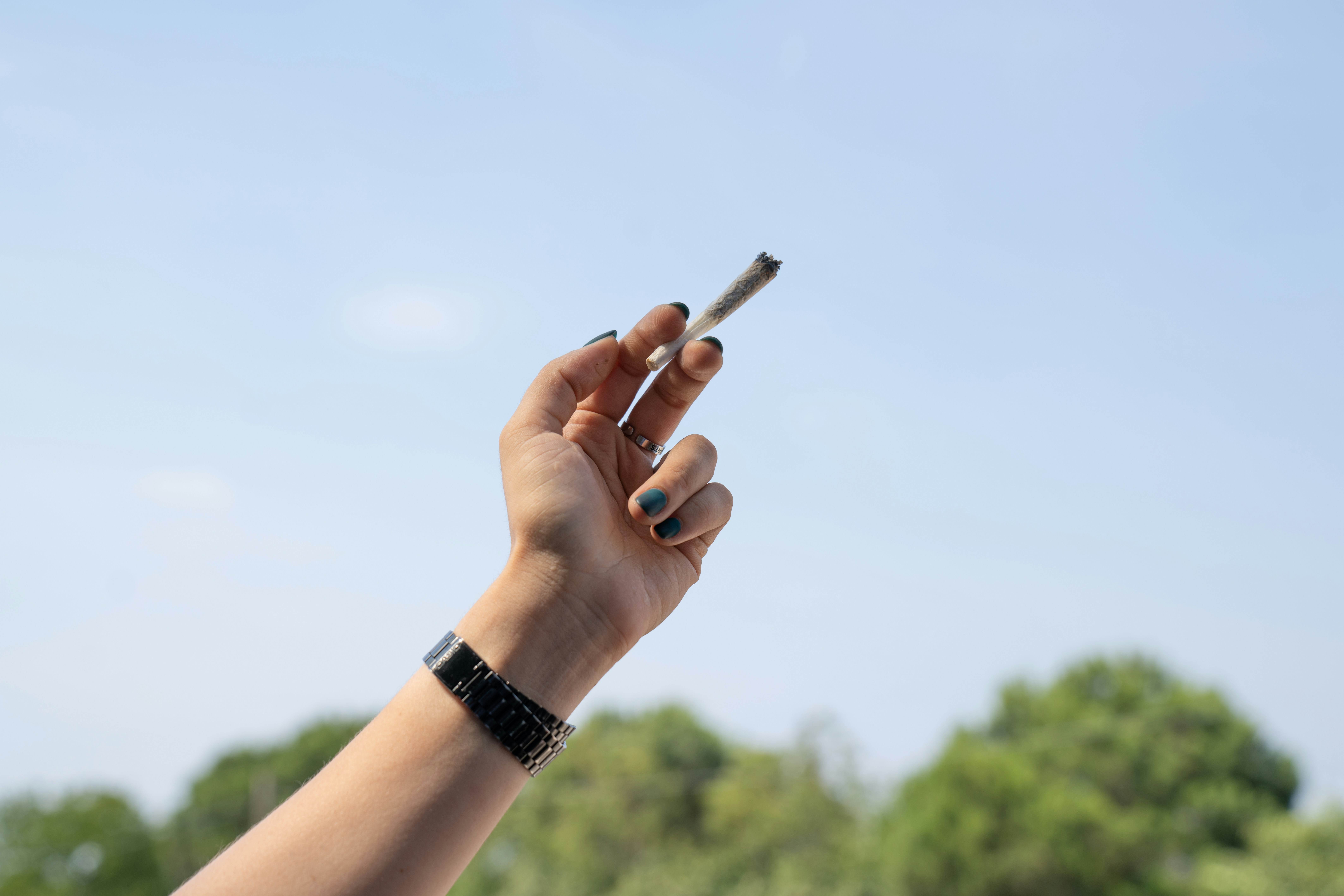 Photo by crystalweed