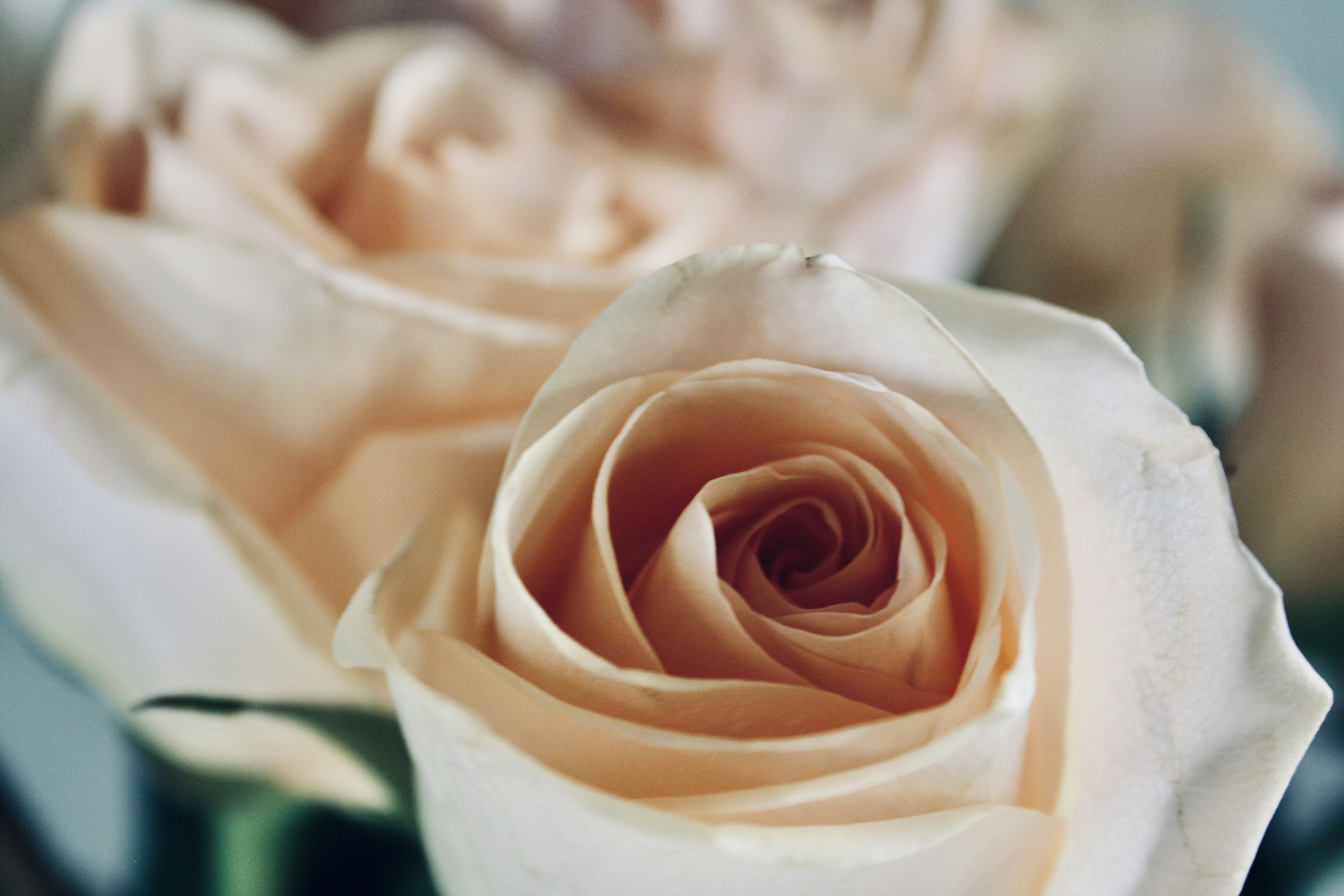 Photo by 1photos_by_e1