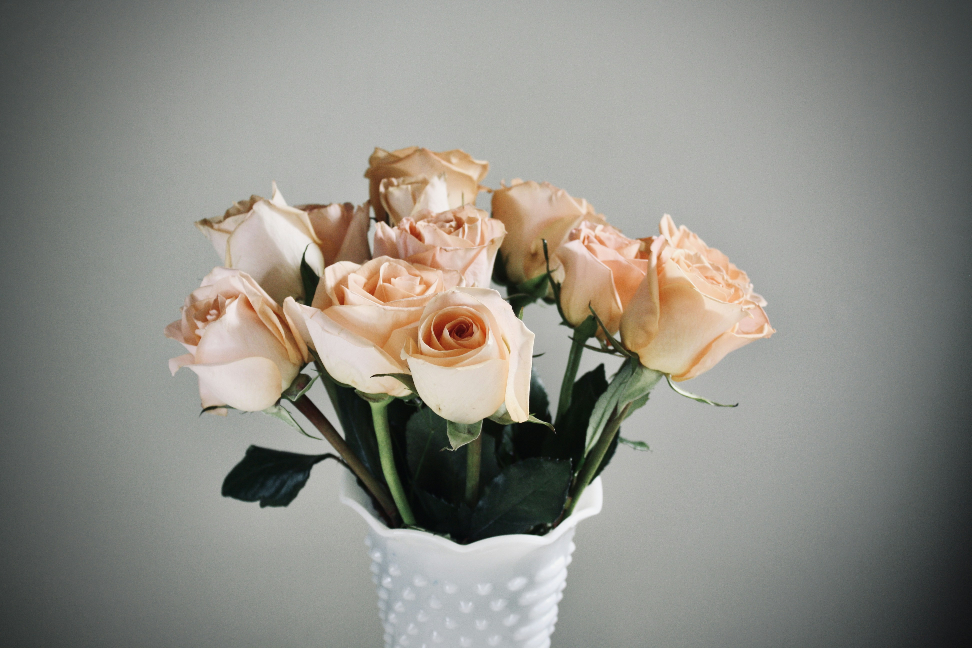 Photo by 1photos_by_e1