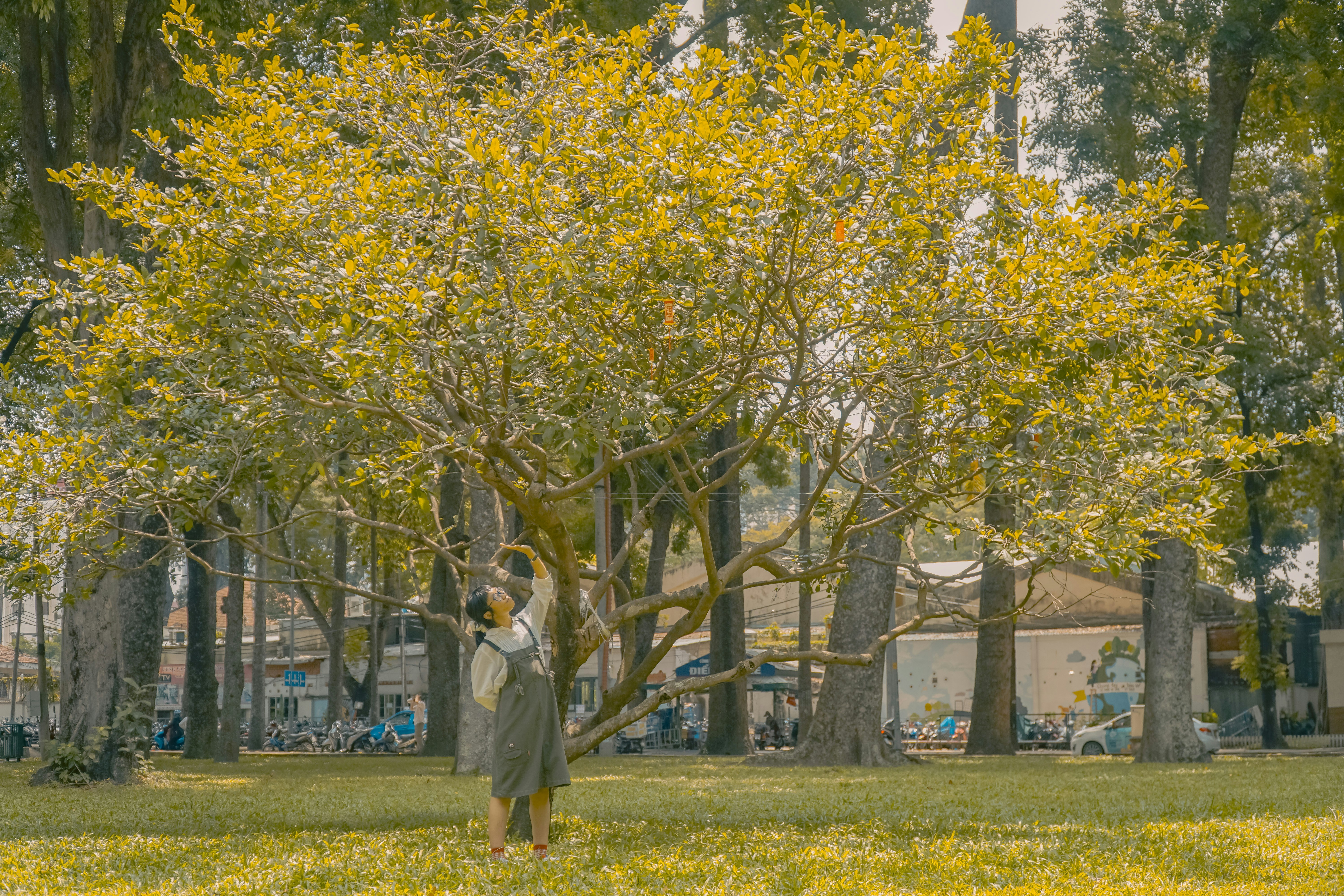 Un couple de personnes dans un parc
