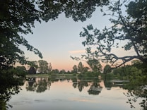 A tranquil lake surrounded by lush green trees, creating a natural frame that reveals a serene water body. The sky is softly colored with hints of pink and orange, reflecting beautifully on the calm water surface. The landscape is peaceful and untouched, offering a sense of solitude and connection with nature.