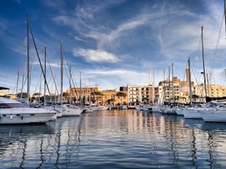 a group of boats sit in a harbor