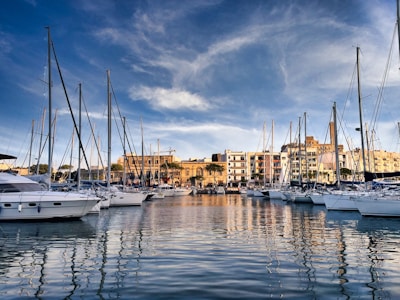 a group of boats sit in a harbor