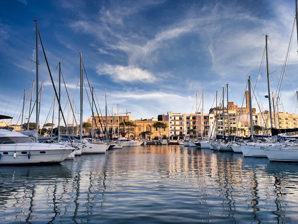 a group of boats sit in a harbor