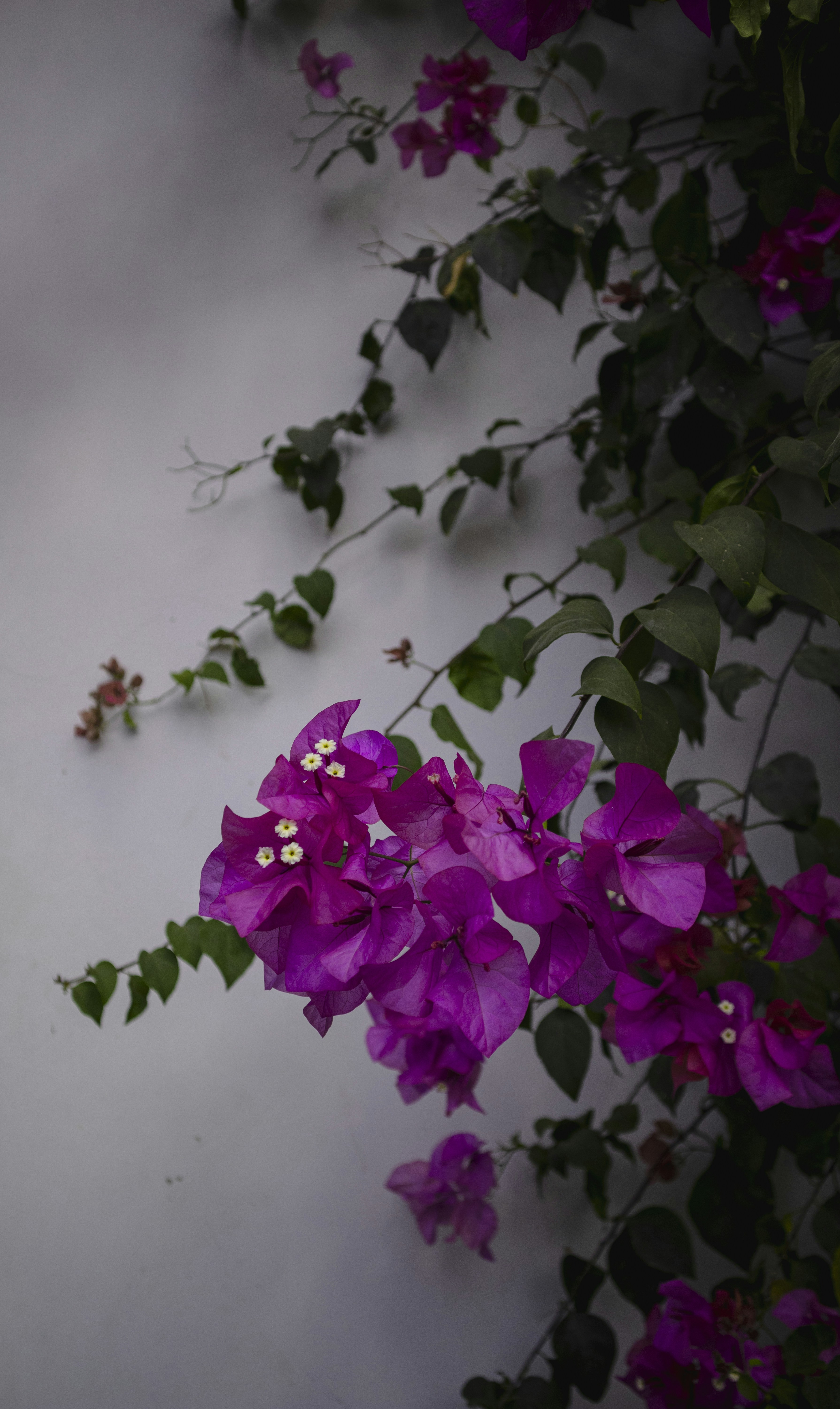 Photo by roadahead_2223