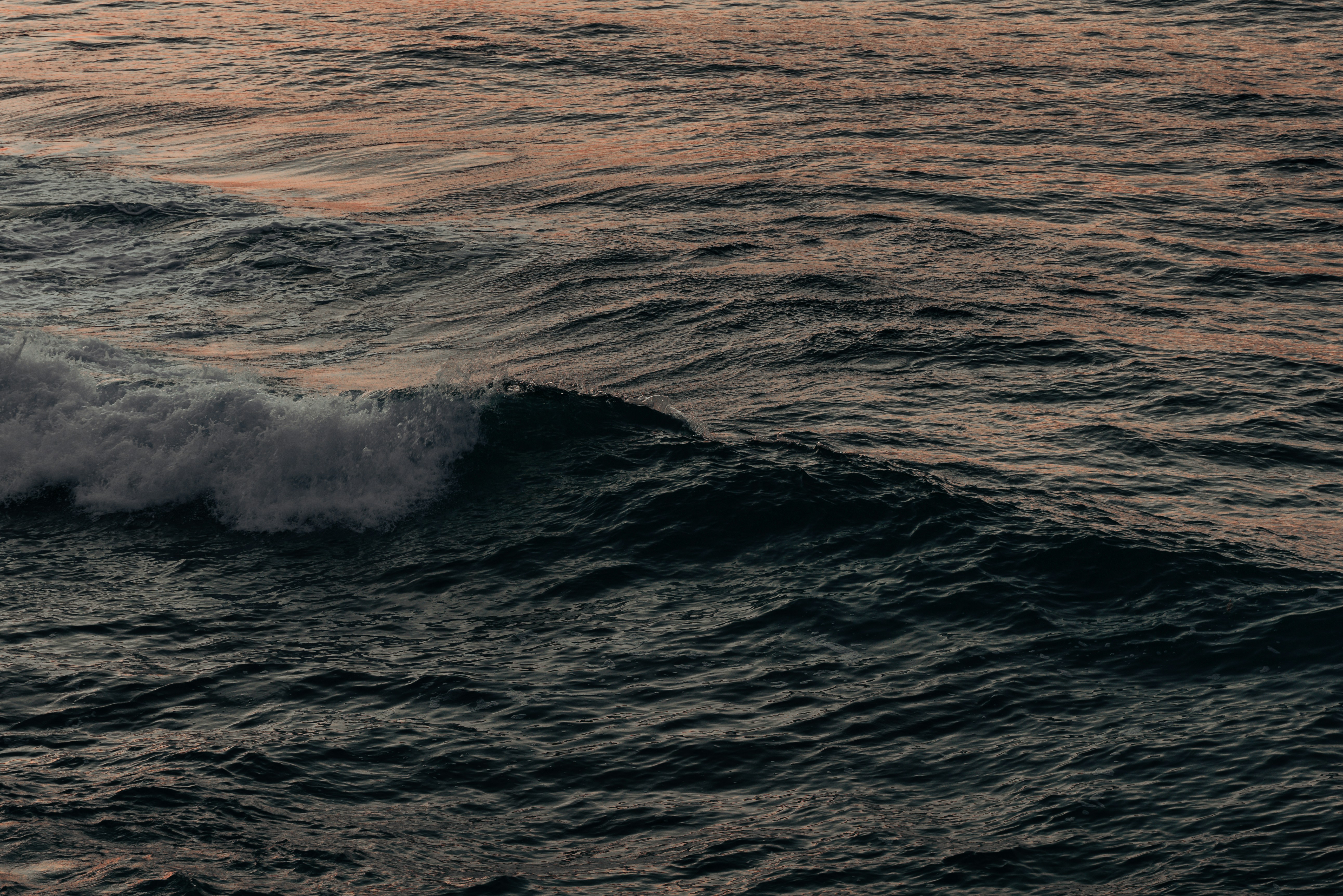 Photo by mrizalfrmnsyh_