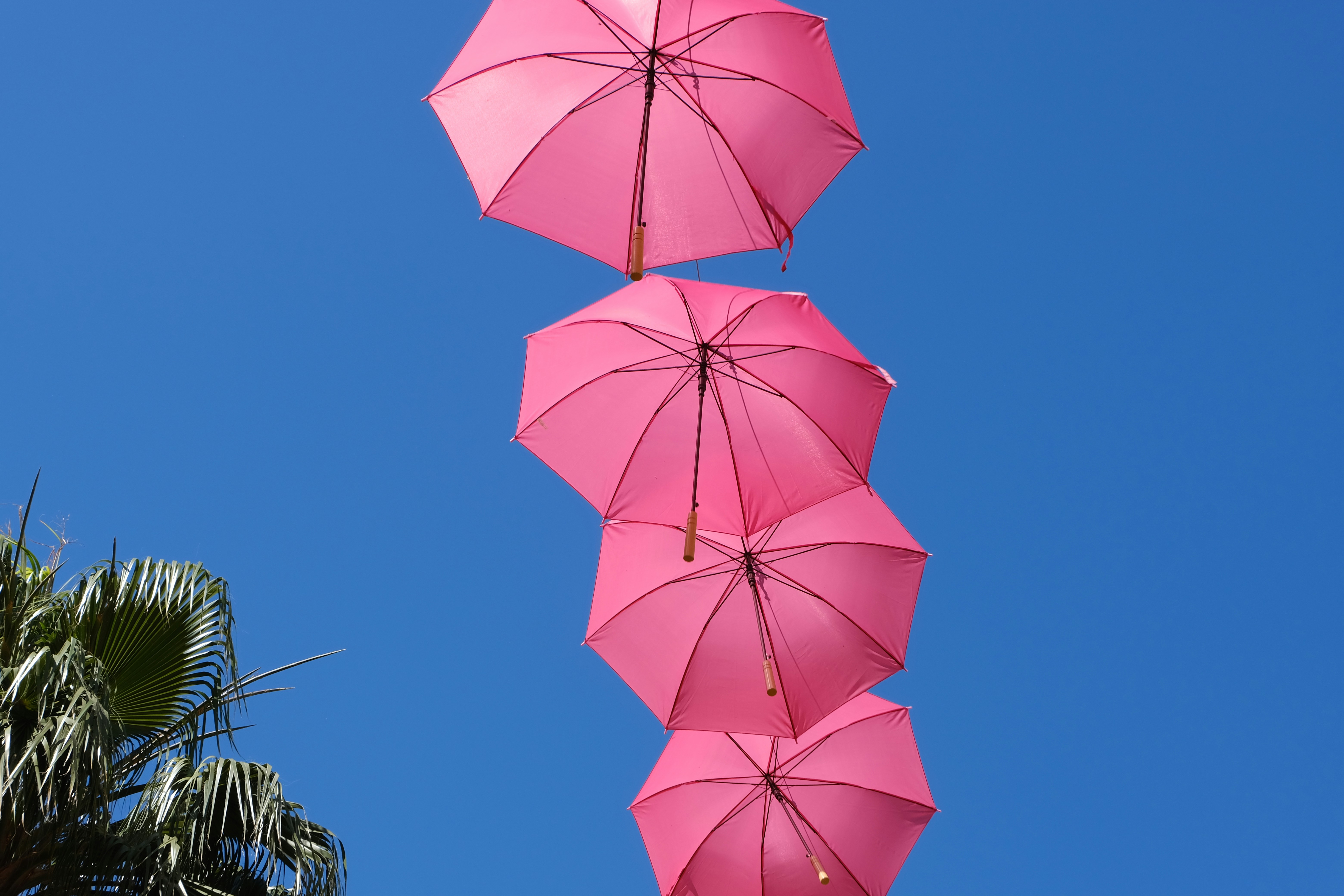 Photo by boudewijn_huysmans