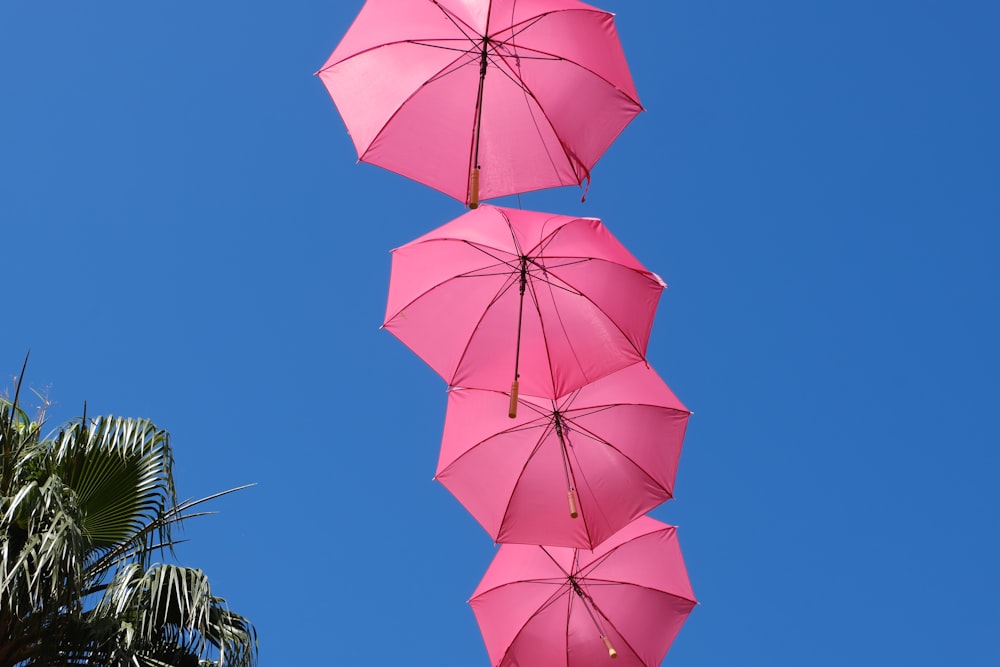 un gruppo di ombrelli rosa