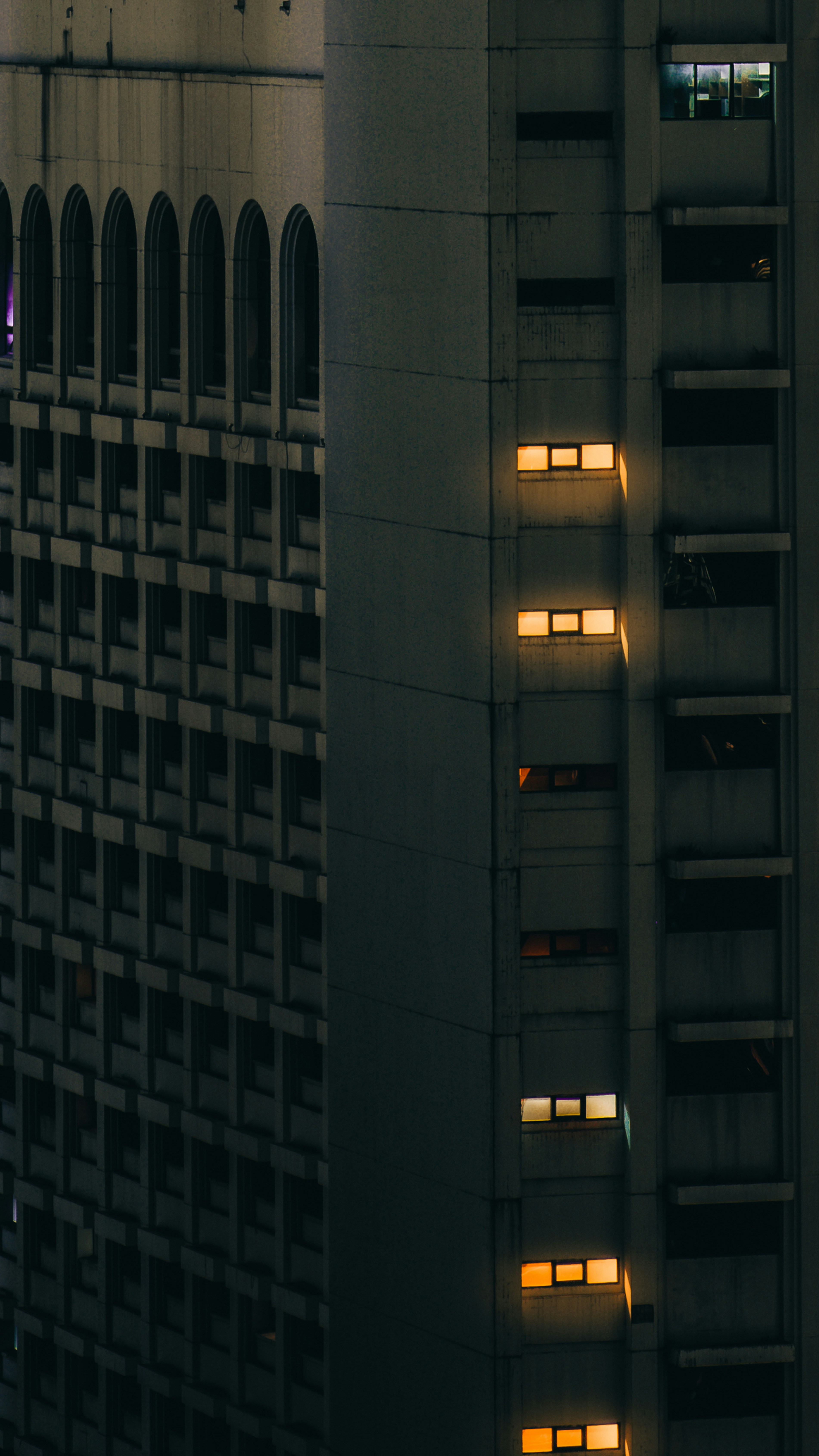 photo-1655567292752-3af3e28ae7bc?ixid=M3wxMjA3fDB8MXxzZWFyY2h8MTR8fCVEOCVBOCVEOCVBQXxlbnwwfHx8fDE3NDg5NjgzNTN8MA\u0026ixlib=rb-4.1.0