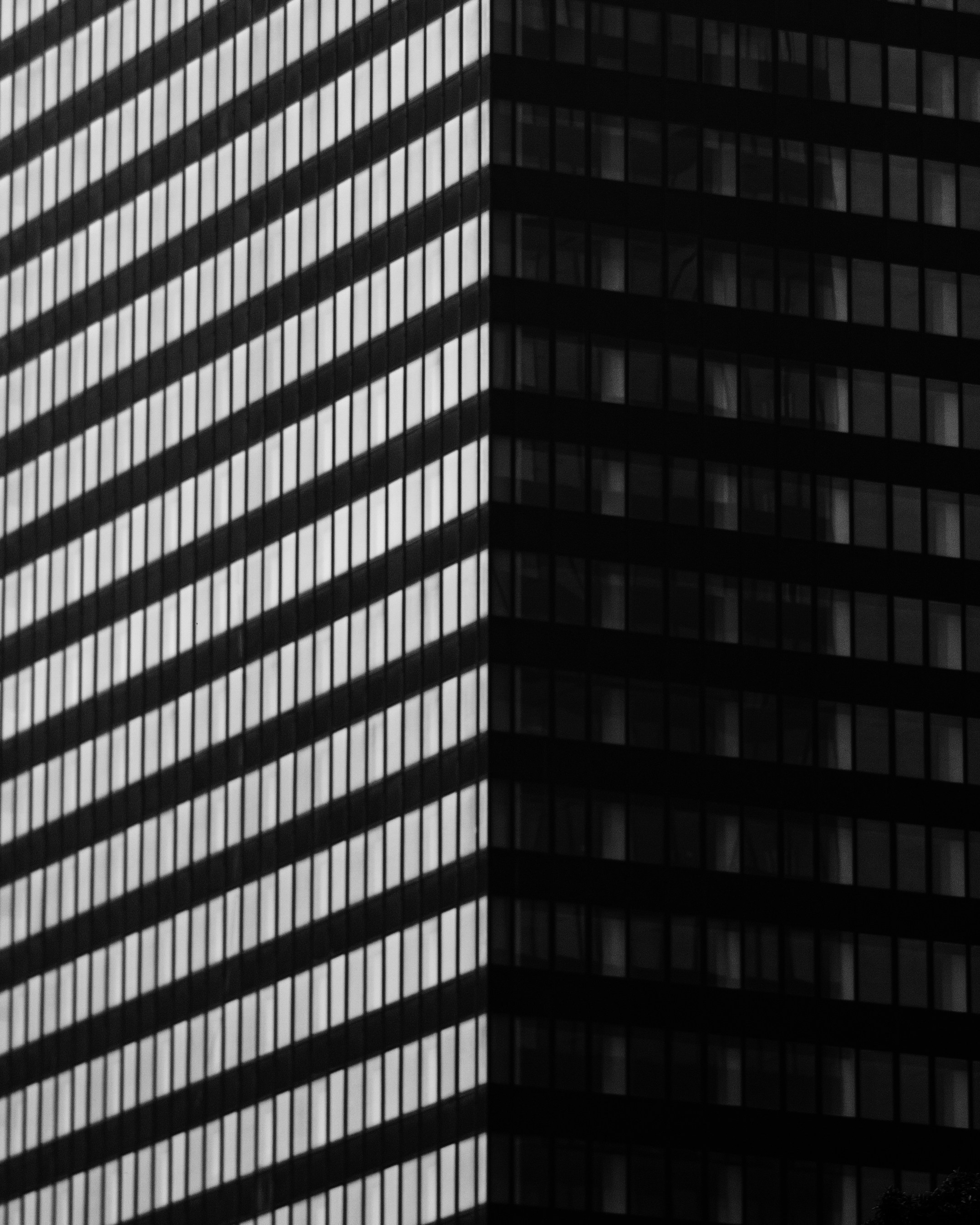 Photo by mrizalfrmnsyh_