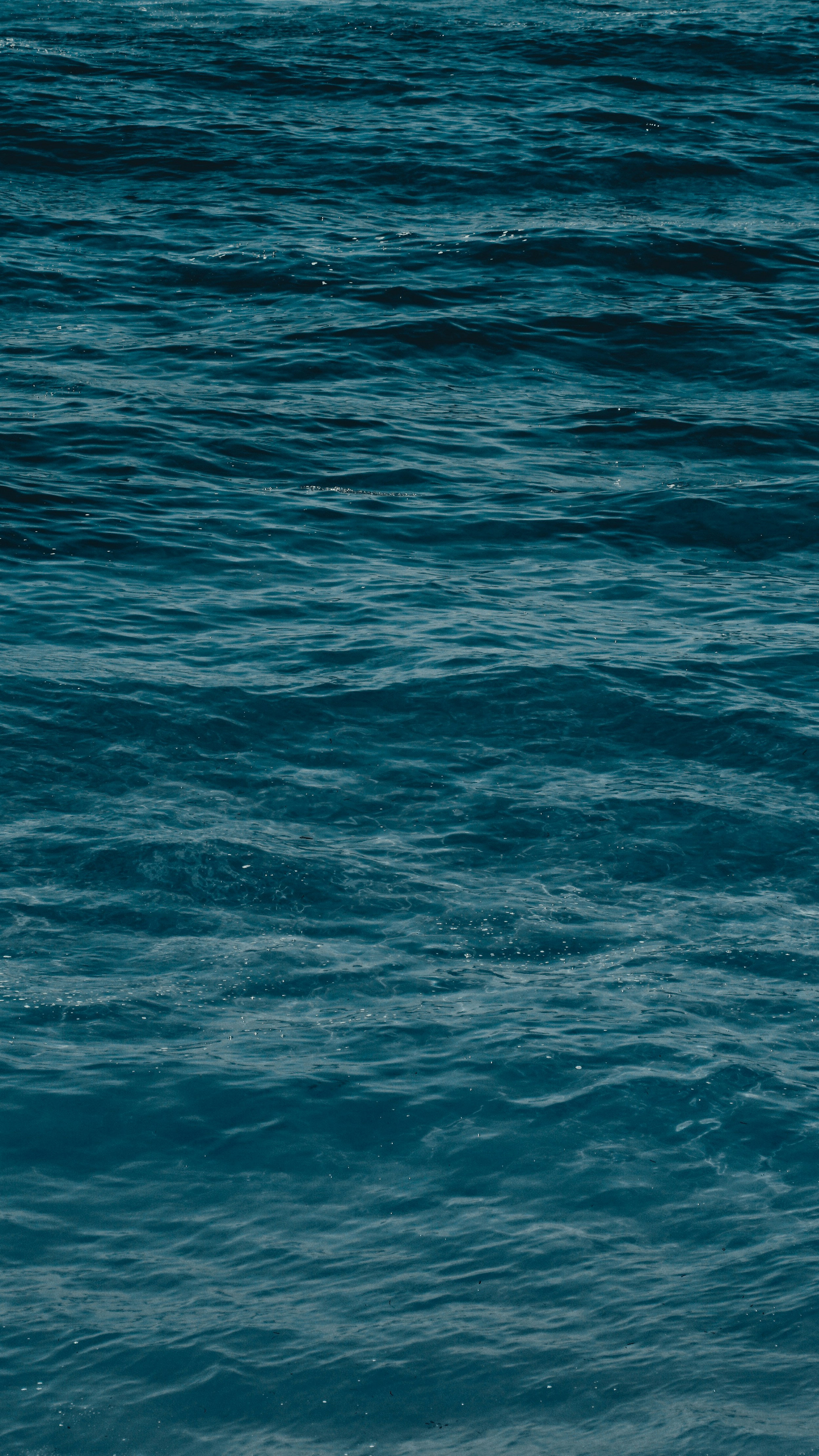 Photo by mrizalfrmnsyh_