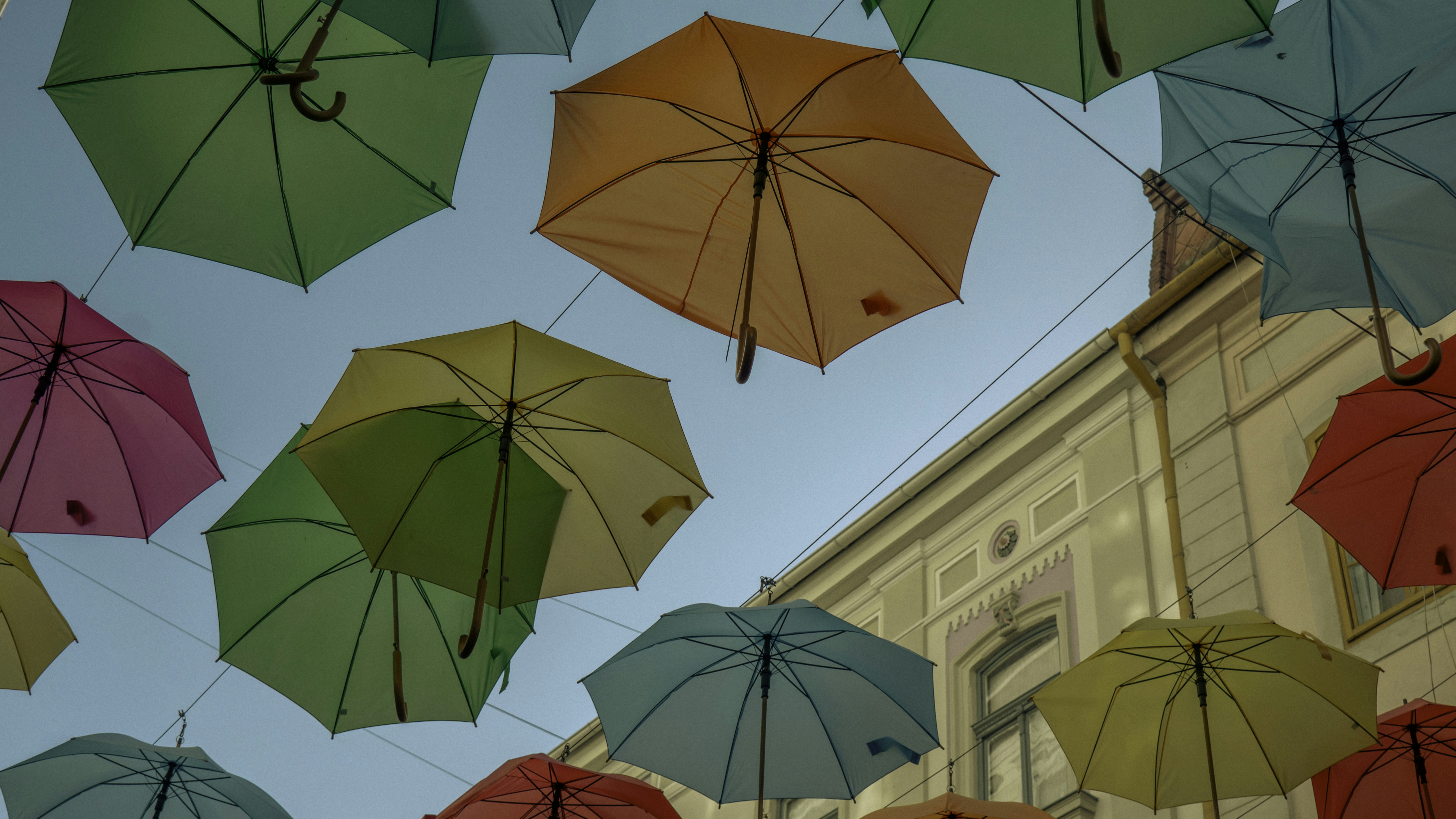 Festival Internacional Cervantino