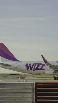 A commercial airplane on a runway with a logo and registration number visible on the fuselage. The tail fin displays a combination of purple and pink colors, and the background includes an overcast sky with greenery in the distance.