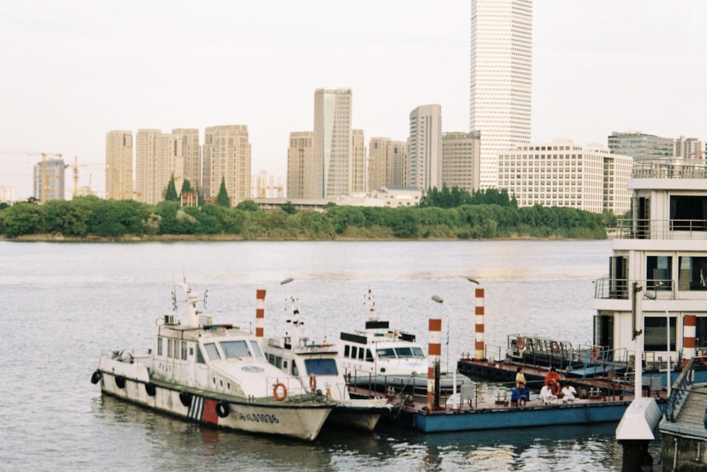 boats in the water