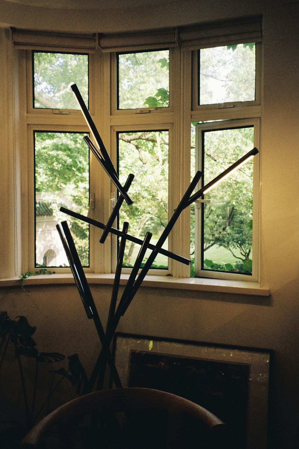 ein Fenster mit einer Pflanze darin