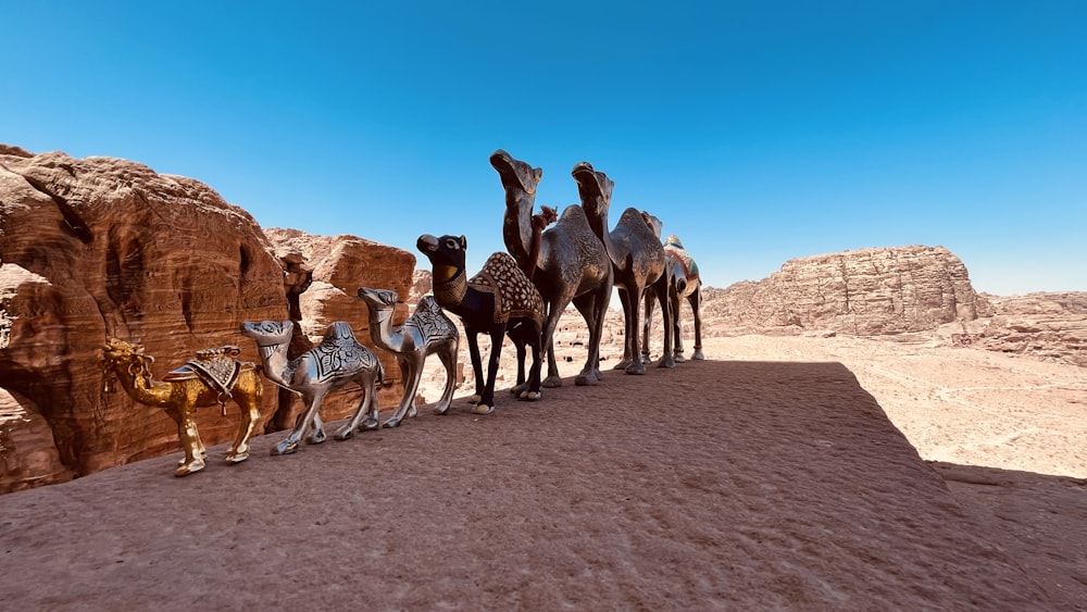 a group of animals in a desert