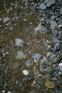 Pebbles and stones of various sizes and colors are scattered on a sandy surface. Small fragments of different materials, possibly plastic or other debris, are mixed throughout the sand and stones.