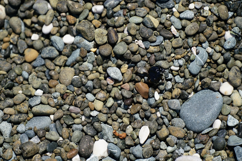 a large group of rocks