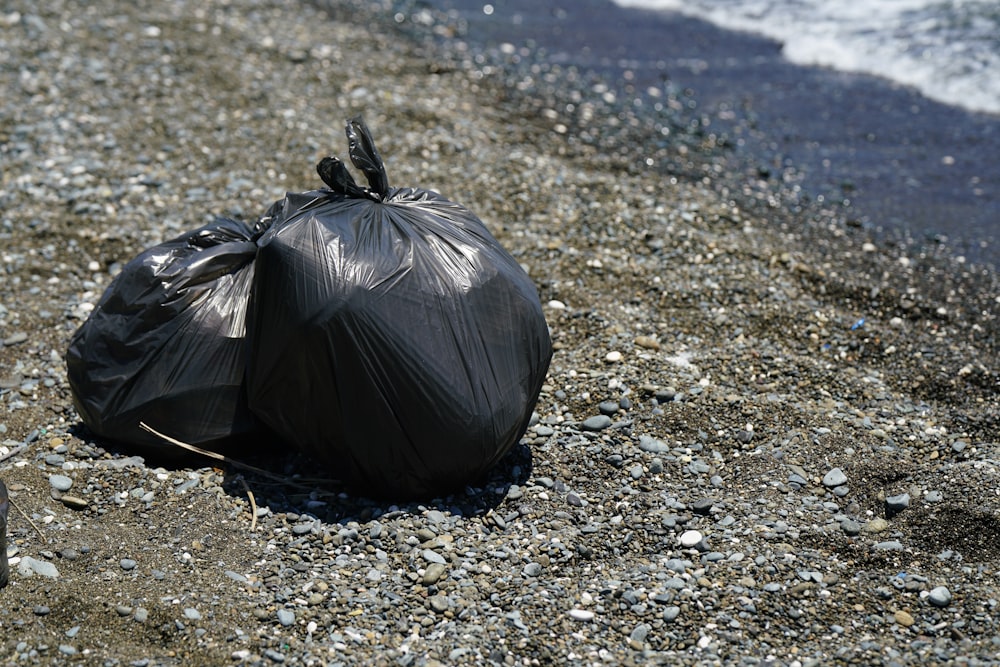 a black turtle on gravel