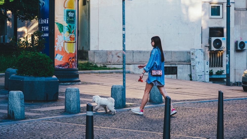 a person walking a dog