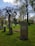 A tranquil cemetery scene featuring several gravestones of varying sizes. A prominent gravestone in the foreground has a rounded top and an inscription. In the background, there's a tall, leafless tree with twisted branches. The ground is covered in lush green grass with patches of small blue flowers. Surrounding trees provide a backdrop with their budding spring leaves under a partly cloudy sky.