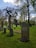 A tranquil cemetery scene featuring several gravestones of varying sizes. A prominent gravestone in the foreground has a rounded top and an inscription. In the background, there's a tall, leafless tree with twisted branches. The ground is covered in lush green grass with patches of small blue flowers. Surrounding trees provide a backdrop with their budding spring leaves under a partly cloudy sky.