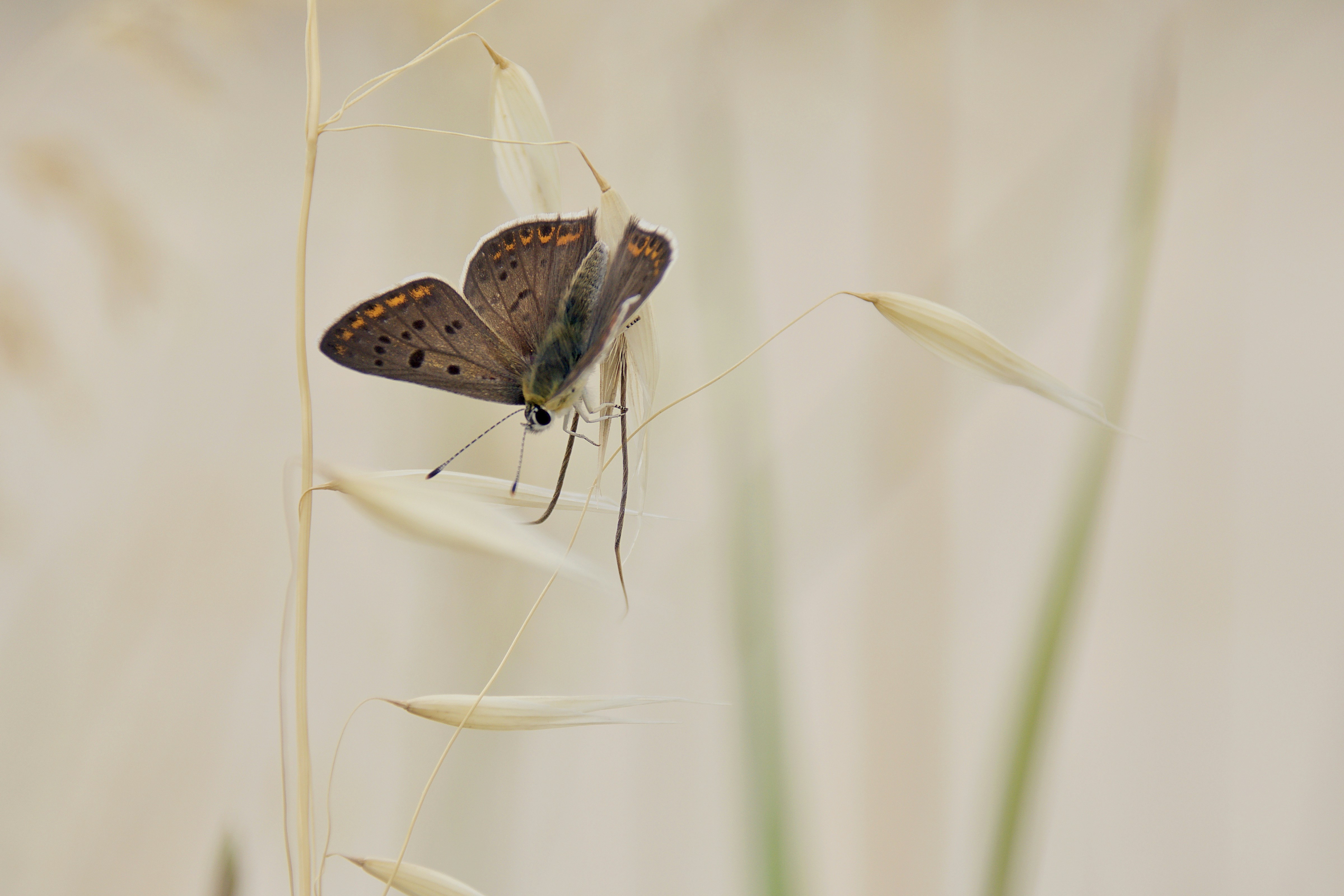 Photo by mariobeducci