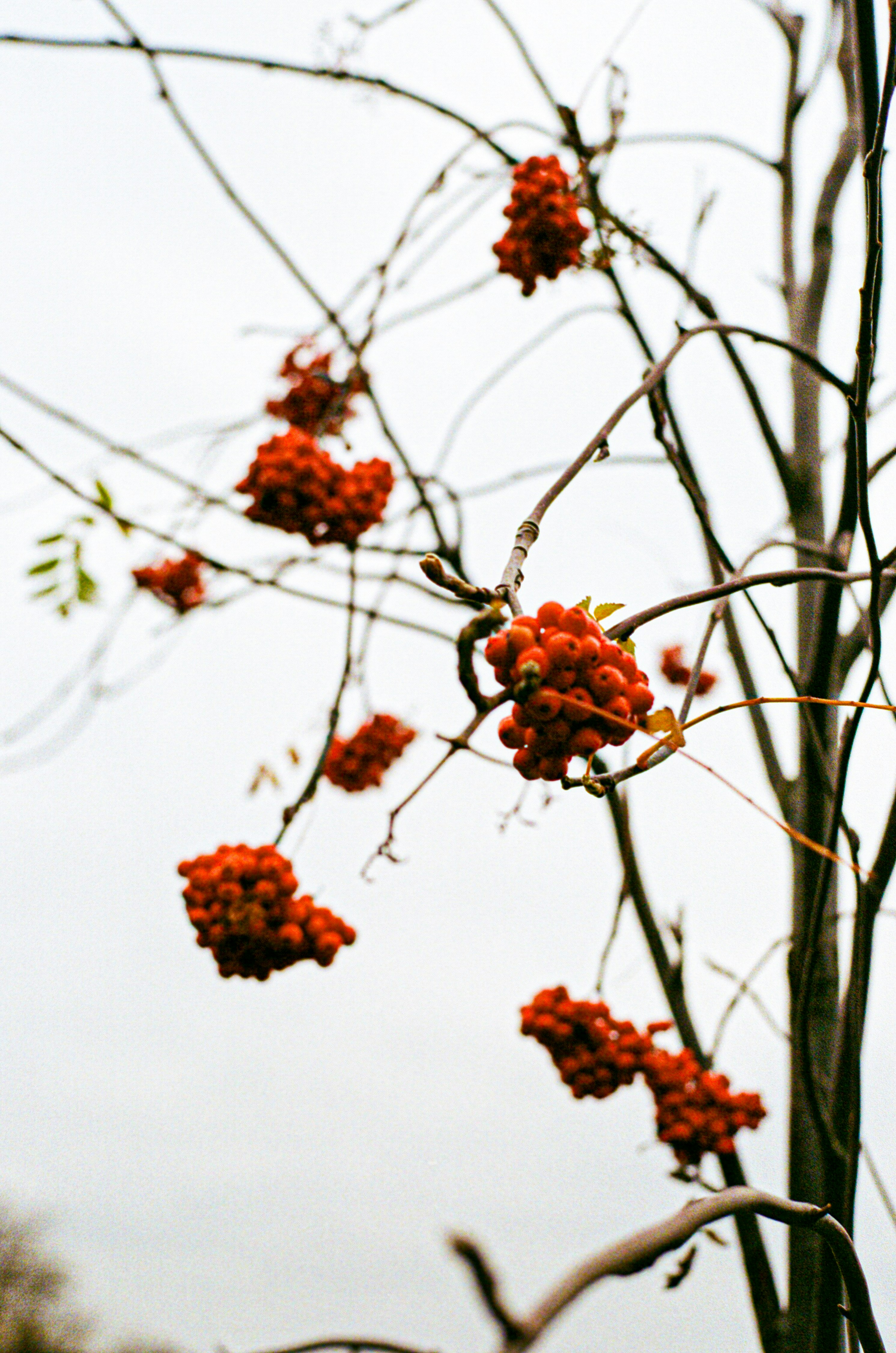 Photo by mettyunuabona