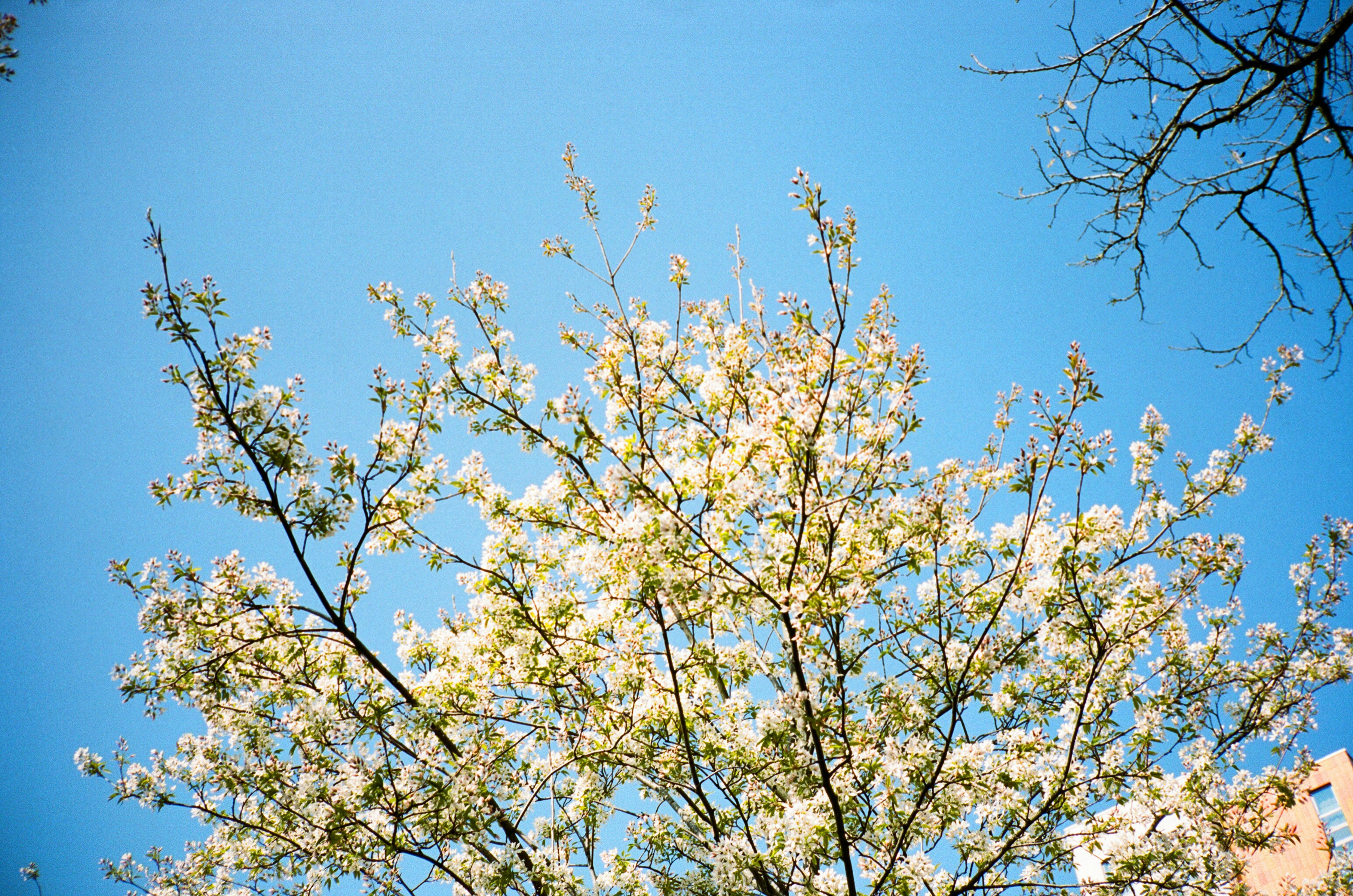 Photo by mettyunuabona