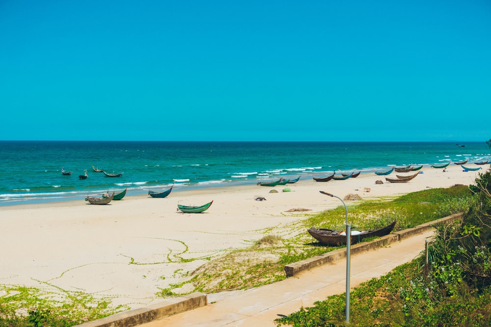 a beach with boats and grass