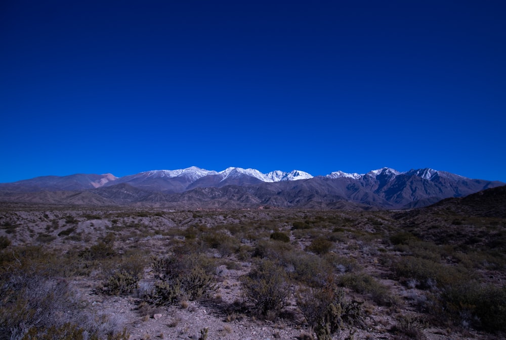 a desert landscape with mountains in the background