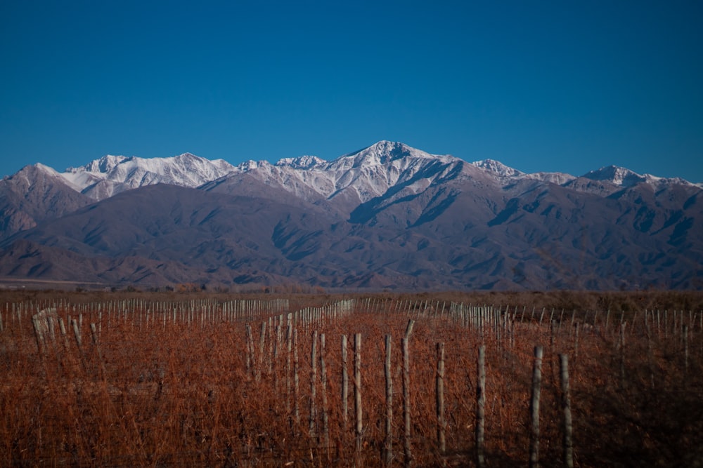 a fence in front of a snowy mountain range