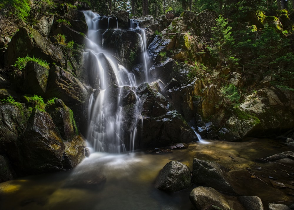 a waterfall in a forest