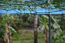 a fence with trees in the background