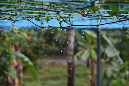a fence with trees in the background